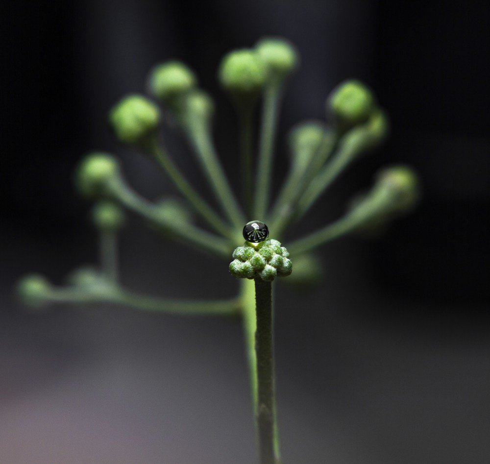 Photograph by Ricardo Sanchez Ruiz