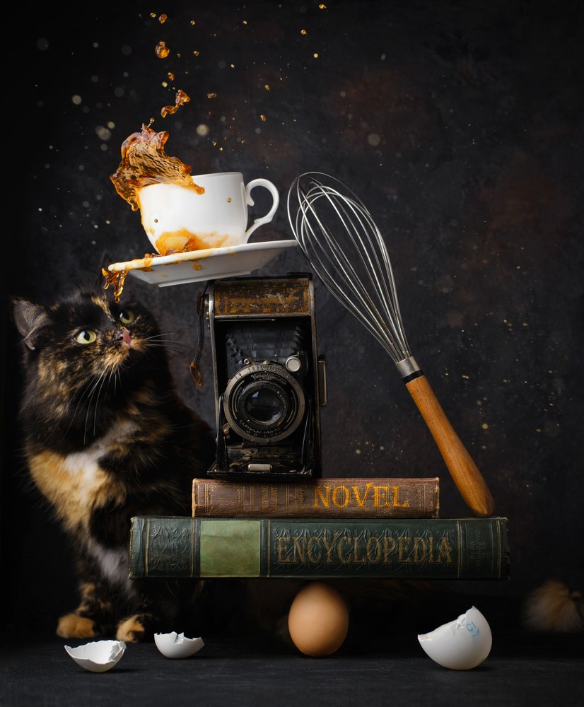 Photograph by fashionfoodfoto