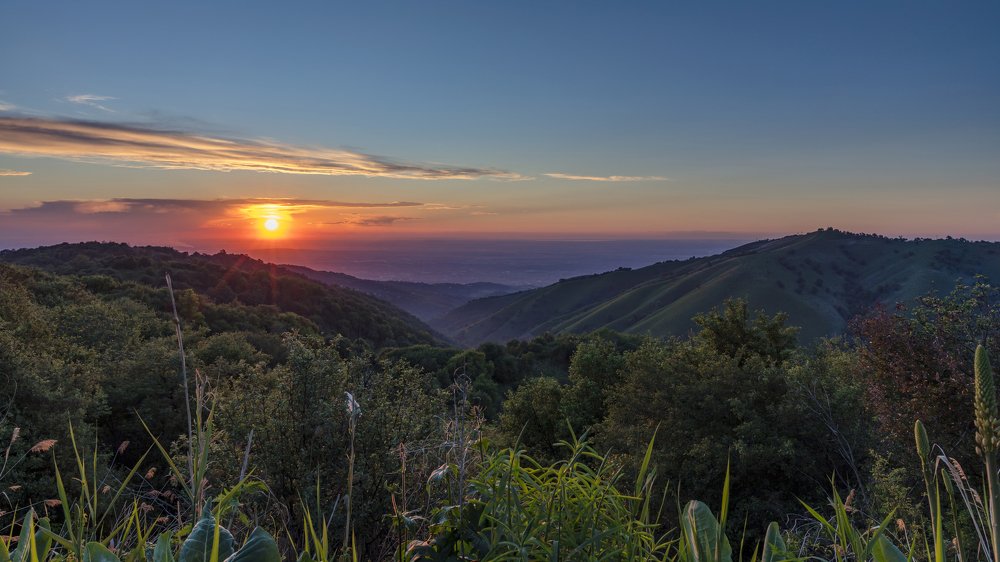 Photograph by Аскар Баймухамедов