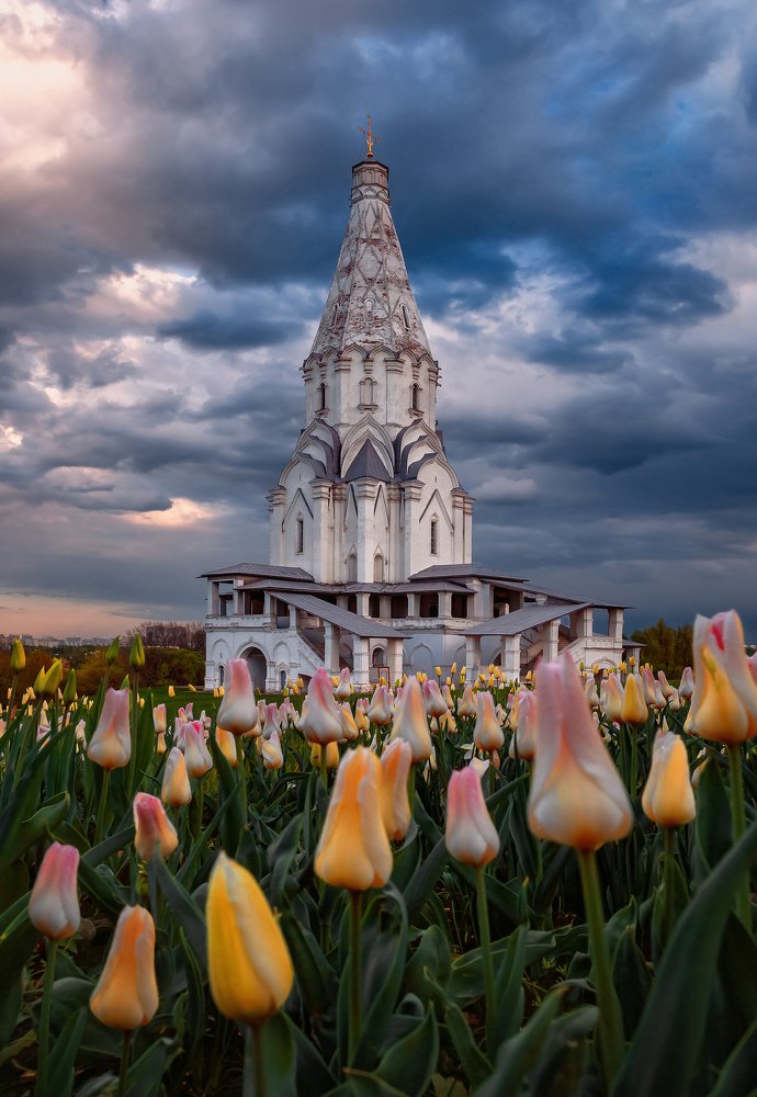Цветы и достопримечательности