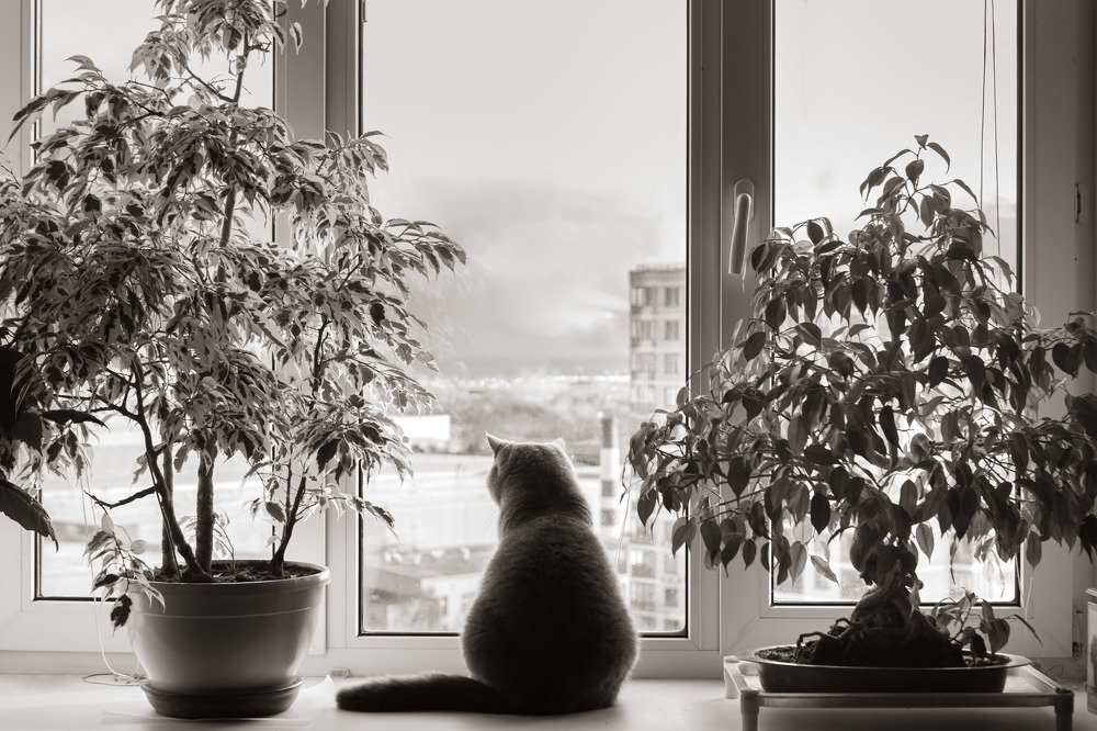 Photograph by Владислав Мотузенко