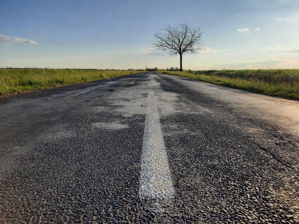 Photograph by Nikolett Zimmerer