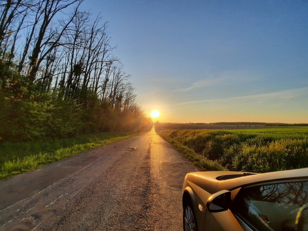 Photograph by Nikolett Zimmerer