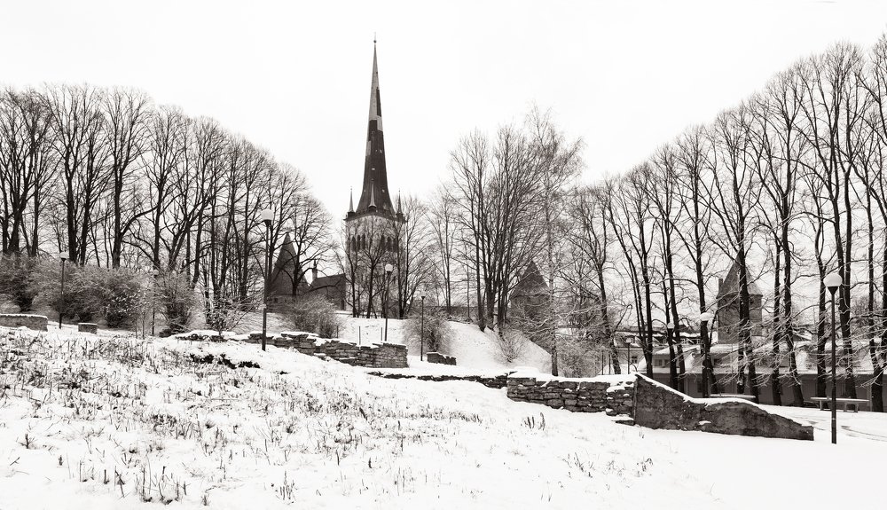 Фотография автора Анастасия Боброва