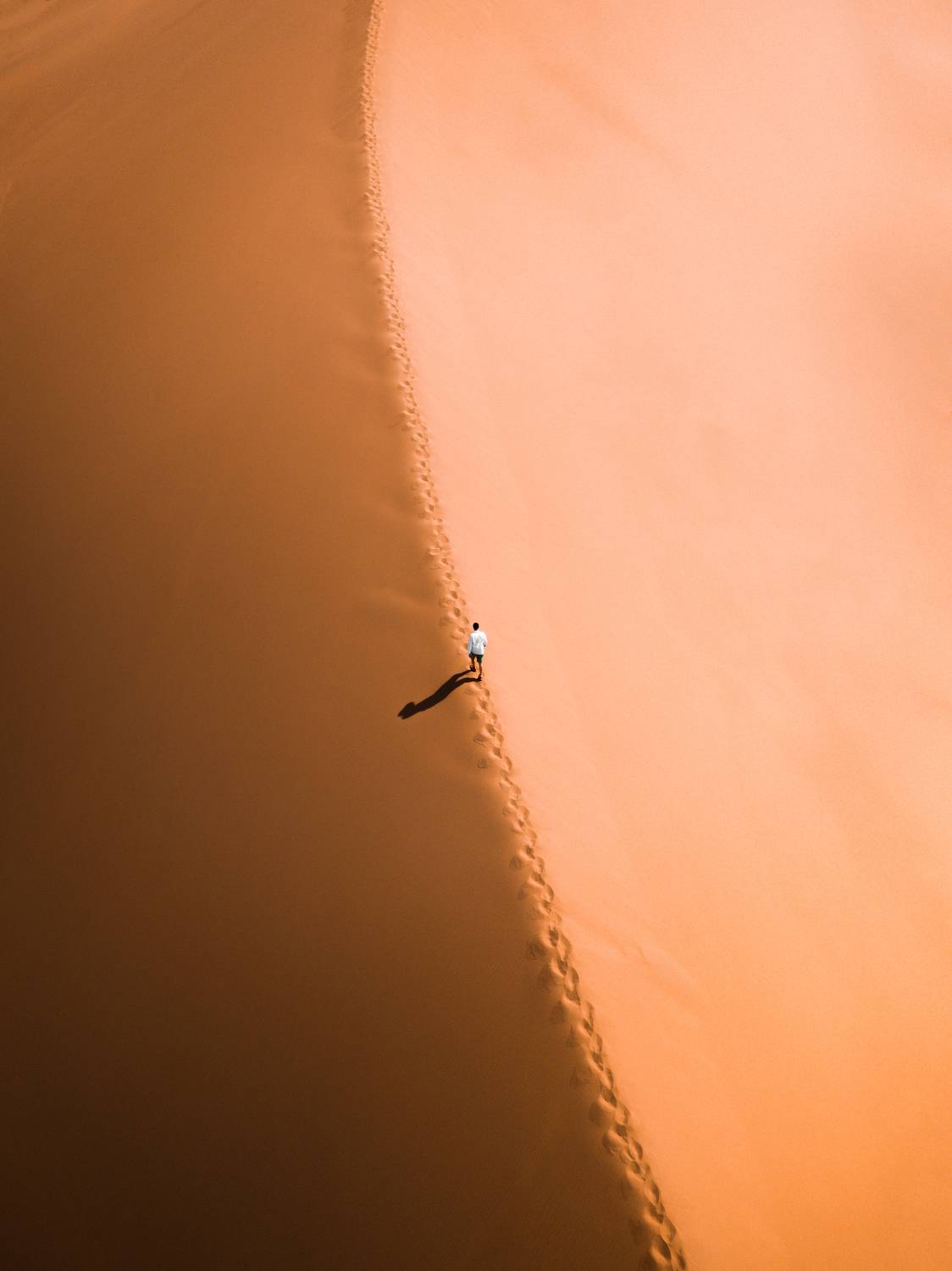 Dune