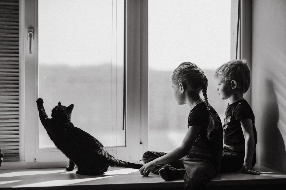 Photograph by Ирина Гординская