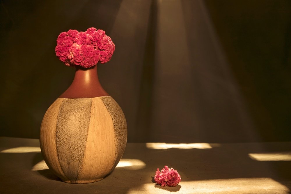 Photograph by Divya Varde