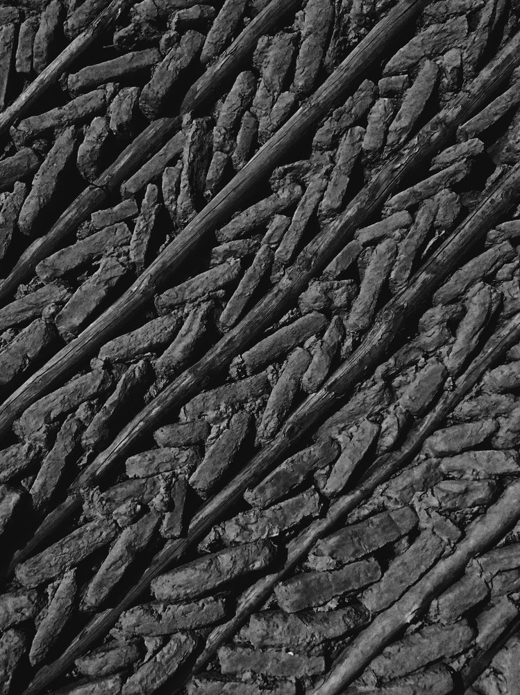 Photograph by Икрам Худайбергенов