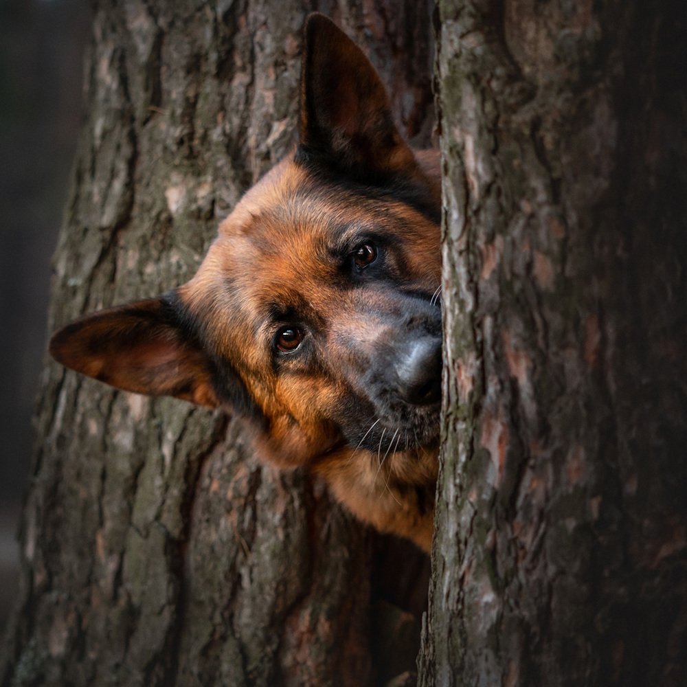 Фотография автора Оксана Серова