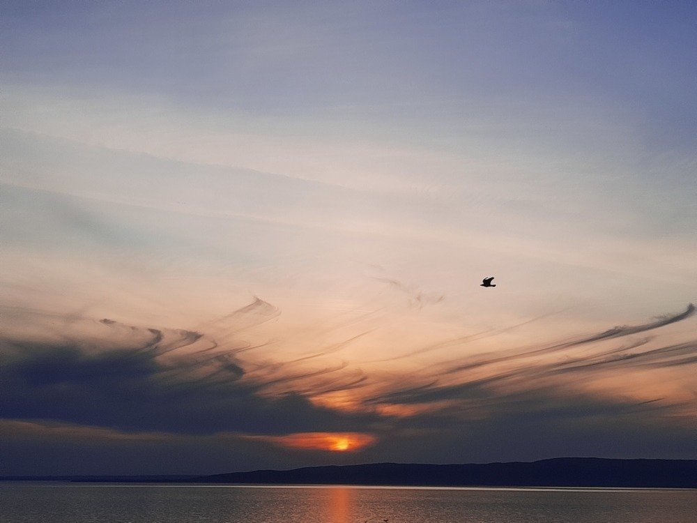 Photograph by Nikolett Zimmerer