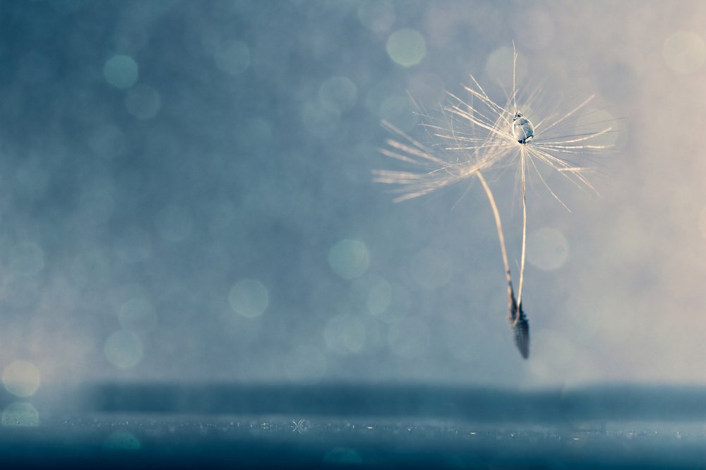 Полет парашютика