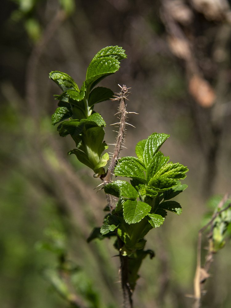Photograph by Татьяна Шустрова