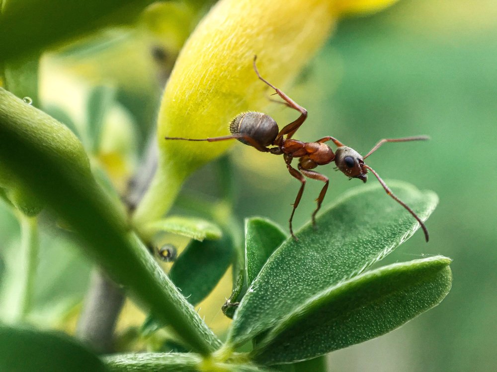Photograph by Екатерина Деружинская