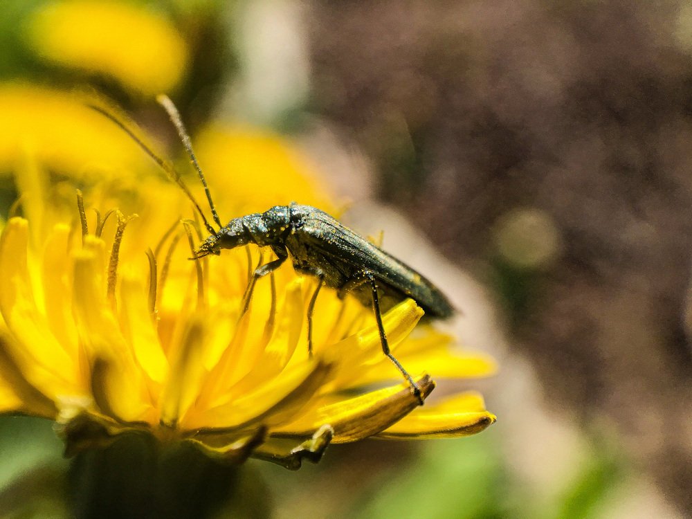 Photograph by Екатерина Деружинская