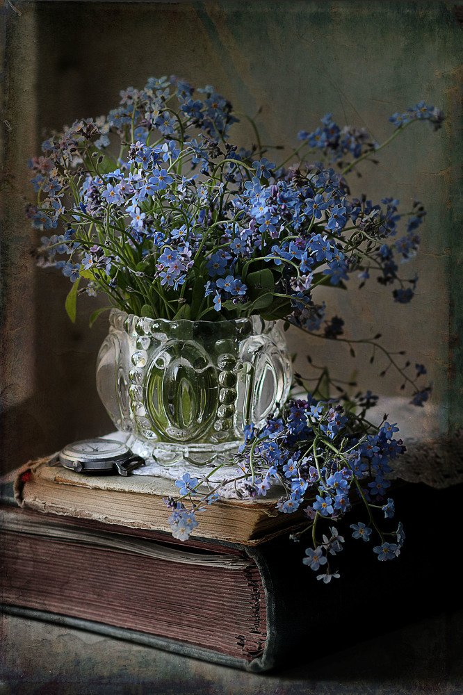 Photograph by Светлана Дерябина