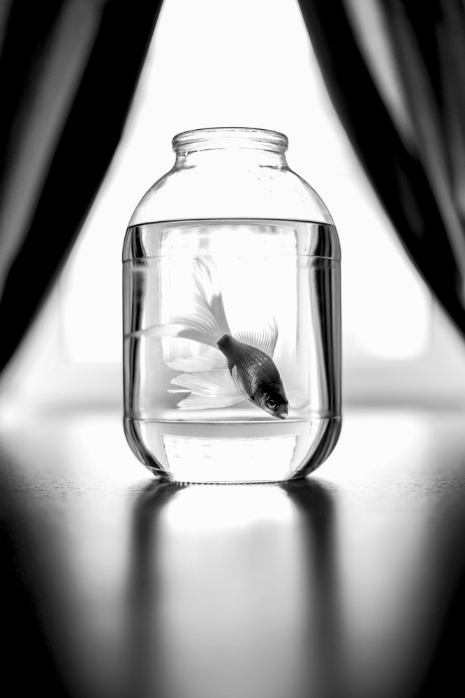 Photograph by Екатерина Нефедова