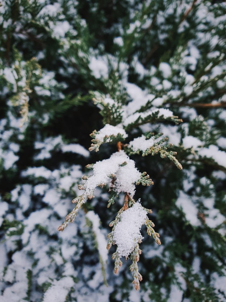 Photograph by Stanisava Sarandeva