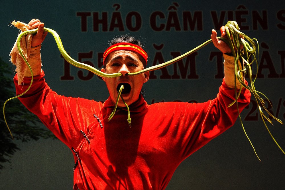 Photograph by NGỌC HẢI NGUYỄN