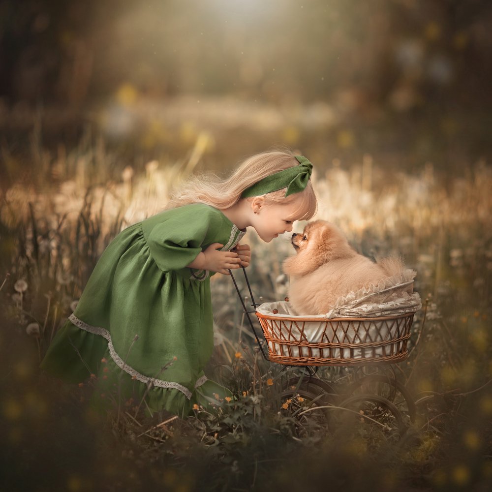 Фотография автора Елена Грушецкая