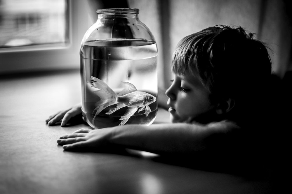 Photograph by Екатерина Нефедова