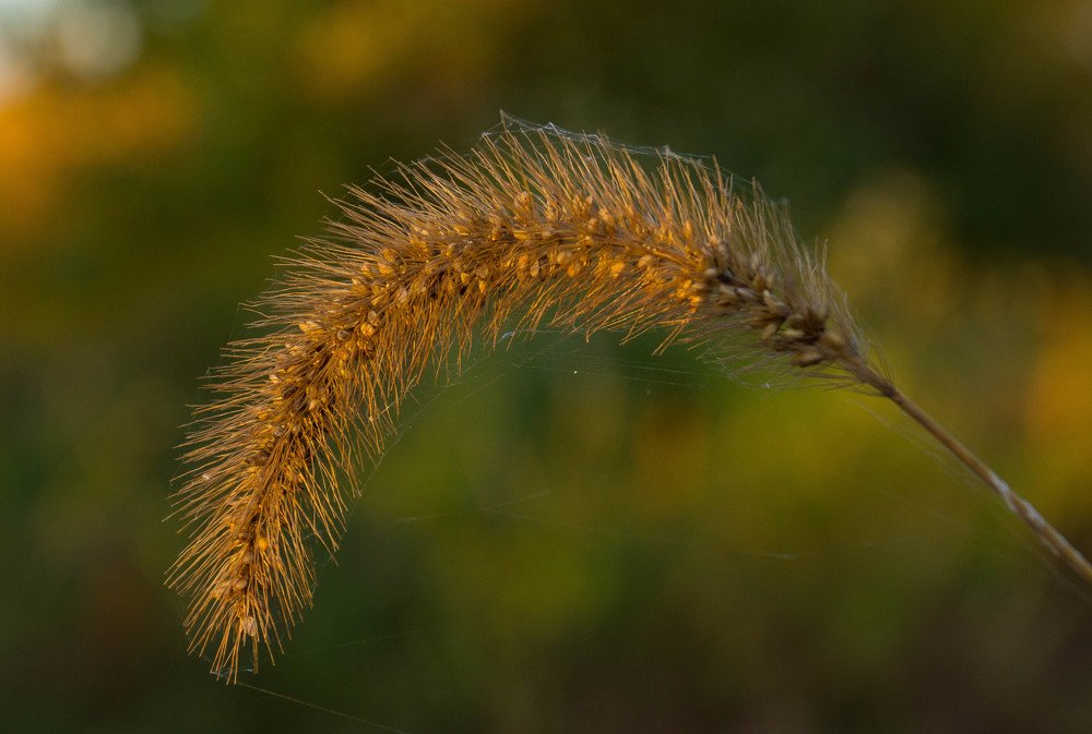 Photograph by Константин Искучеков