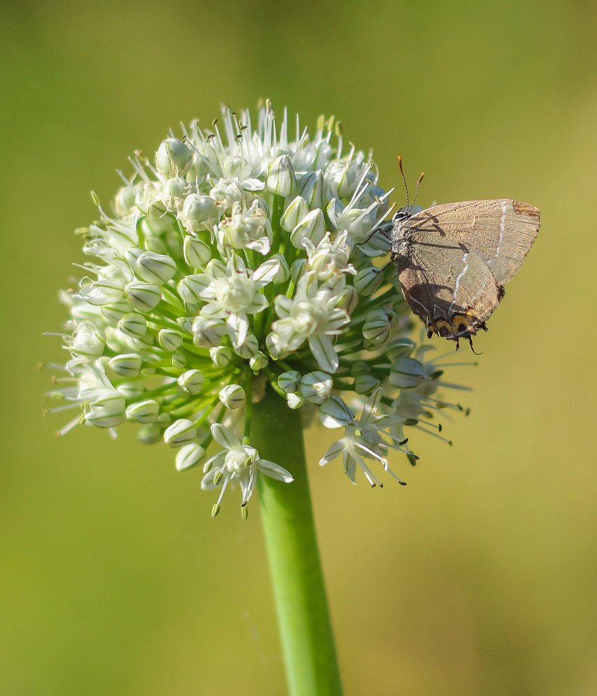 Photograph by Константин Искучеков