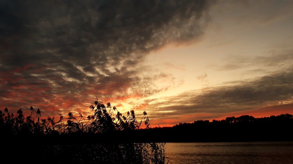 Photograph by Nikolett Zimmerer