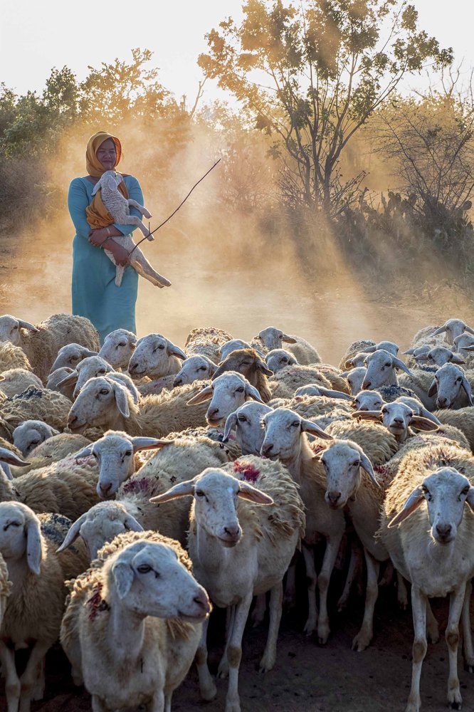 Фотография автора Sơn nguyễn ngọc
