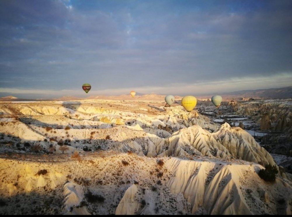 Photograph by Liz Gallego