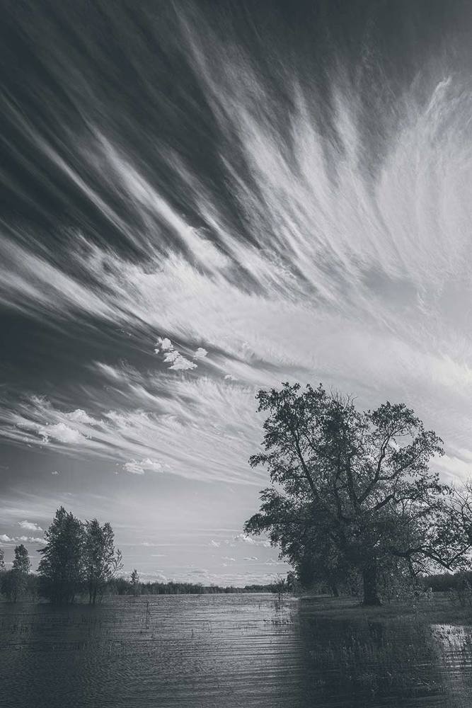 Фотография автора Игорь Баранов