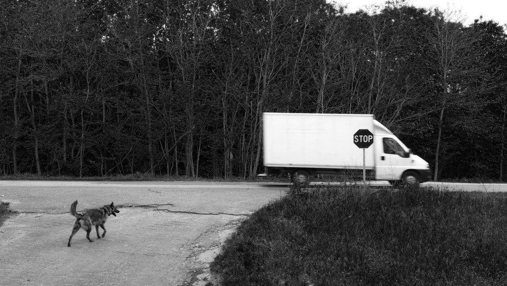 Photo #4610519