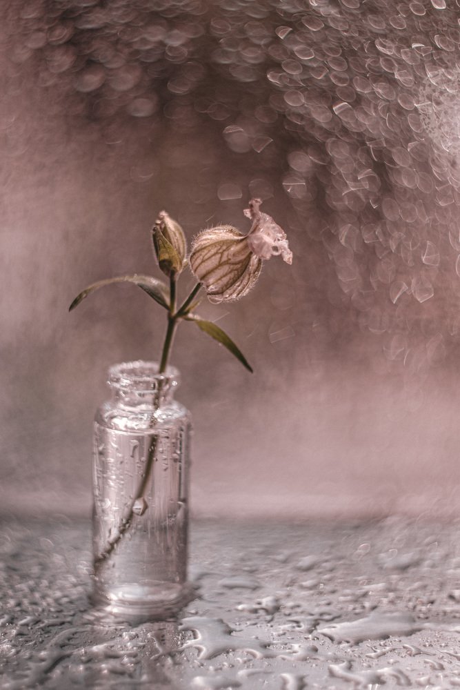 Photograph by Марина Тихонова