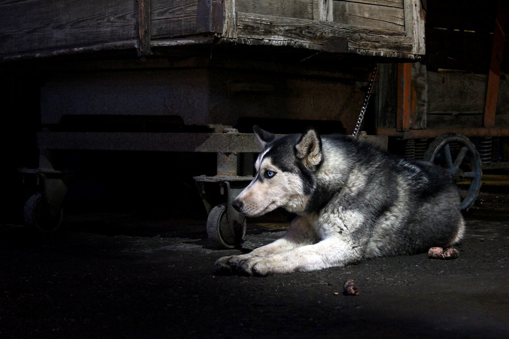 Photograph by Zohre sadat Lajevardi