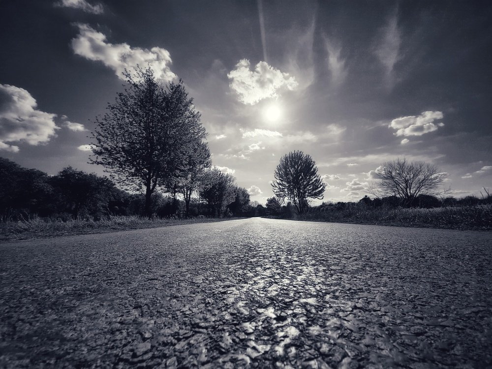 Photograph by Nikolett Zimmerer