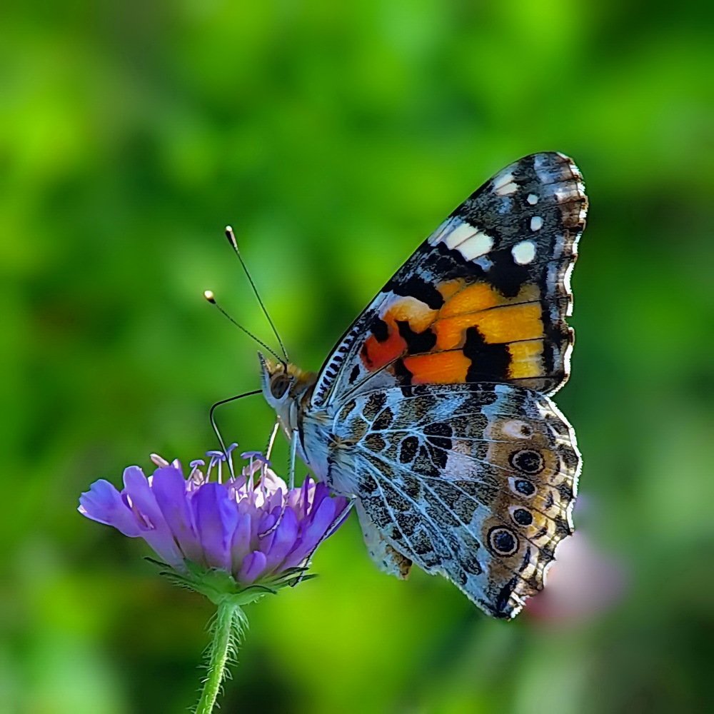 Photograph by 