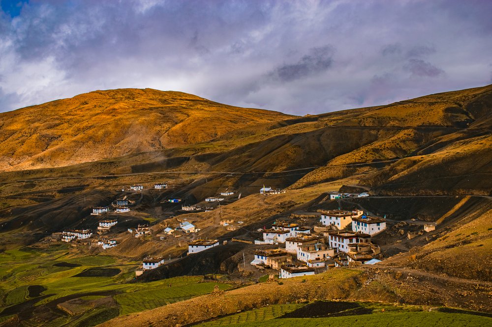 Photograph by Neetu Kalwan