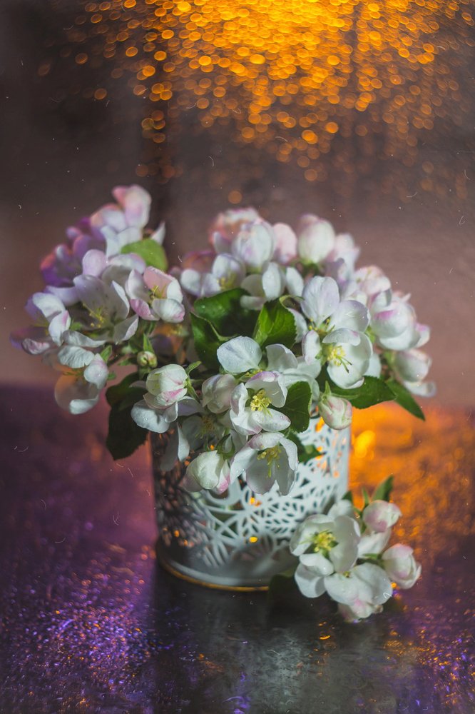 Photograph by Алла Семенова