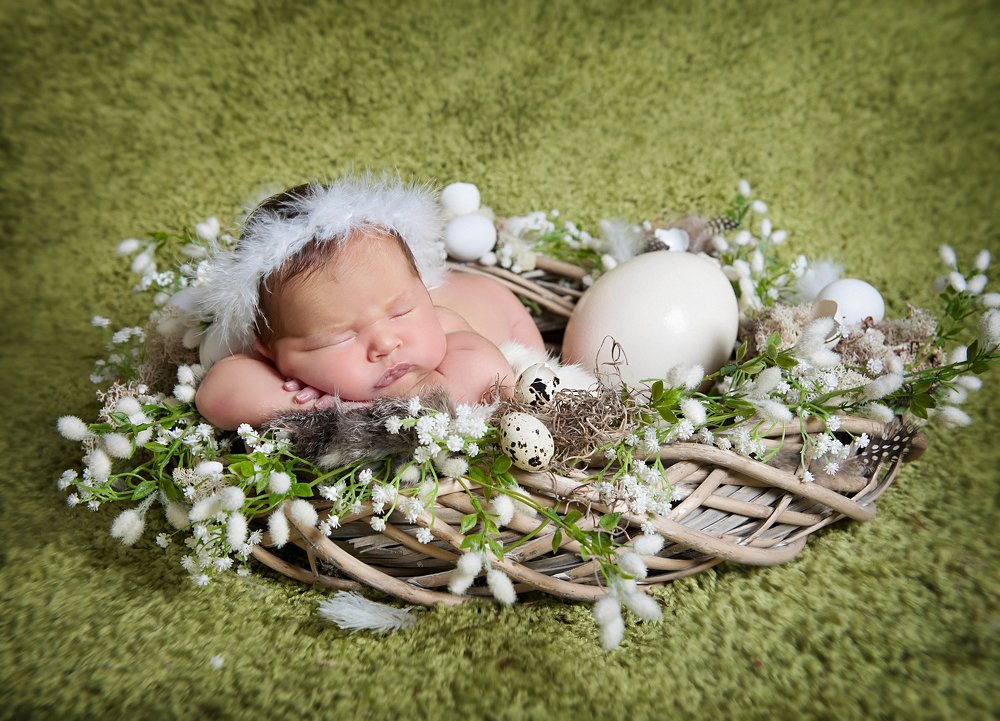 Гнездо Аиста