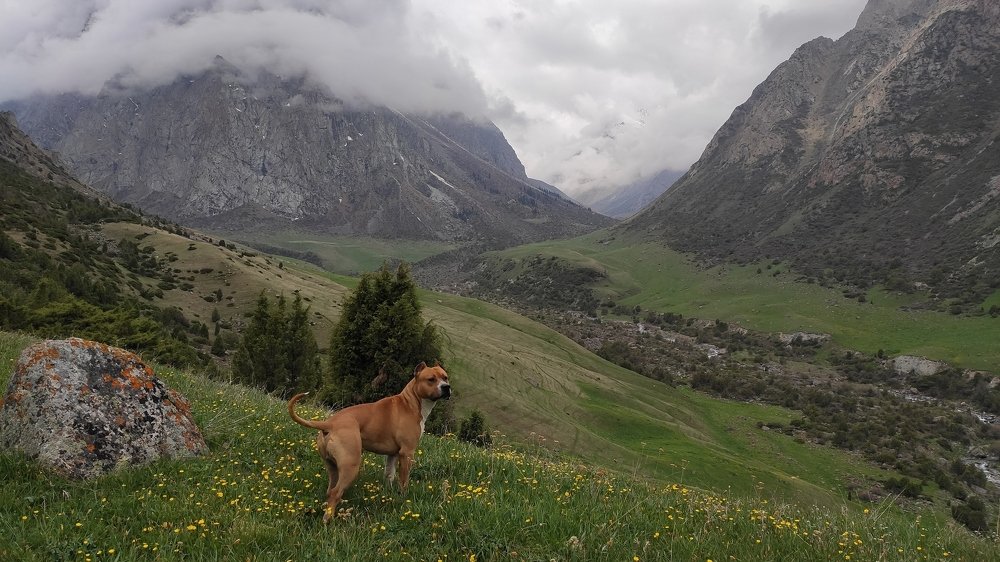Photo #4610846