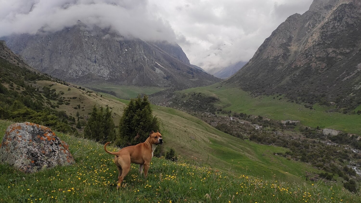 Photo #4610846