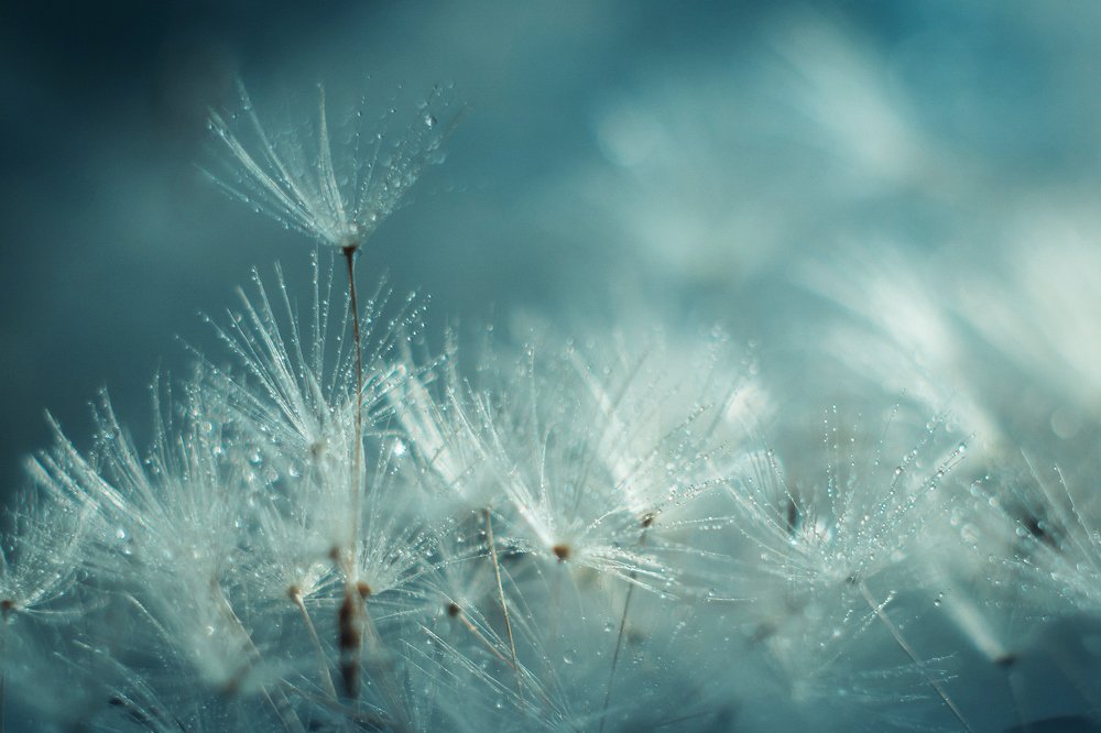 Photograph by Анна Молько