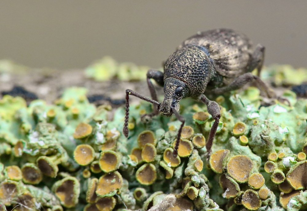 Photograph by Игорь Осипов