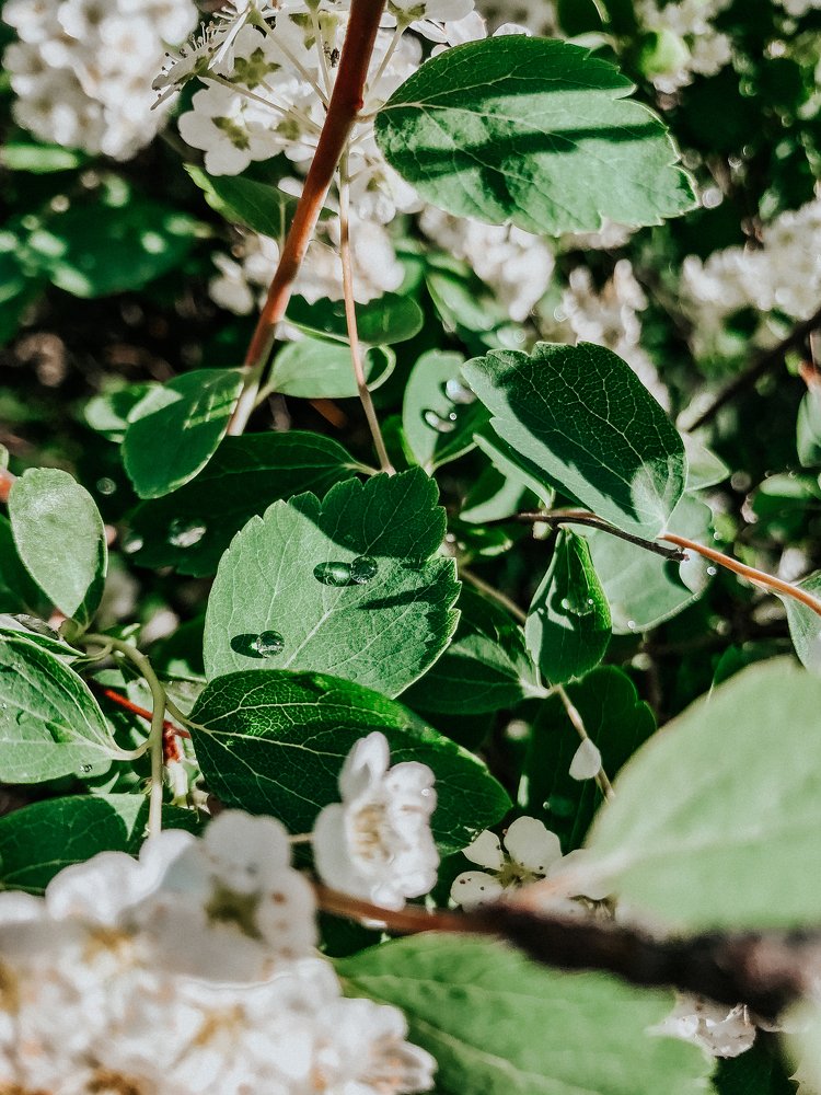 Photograph by Екатерина Стефанова