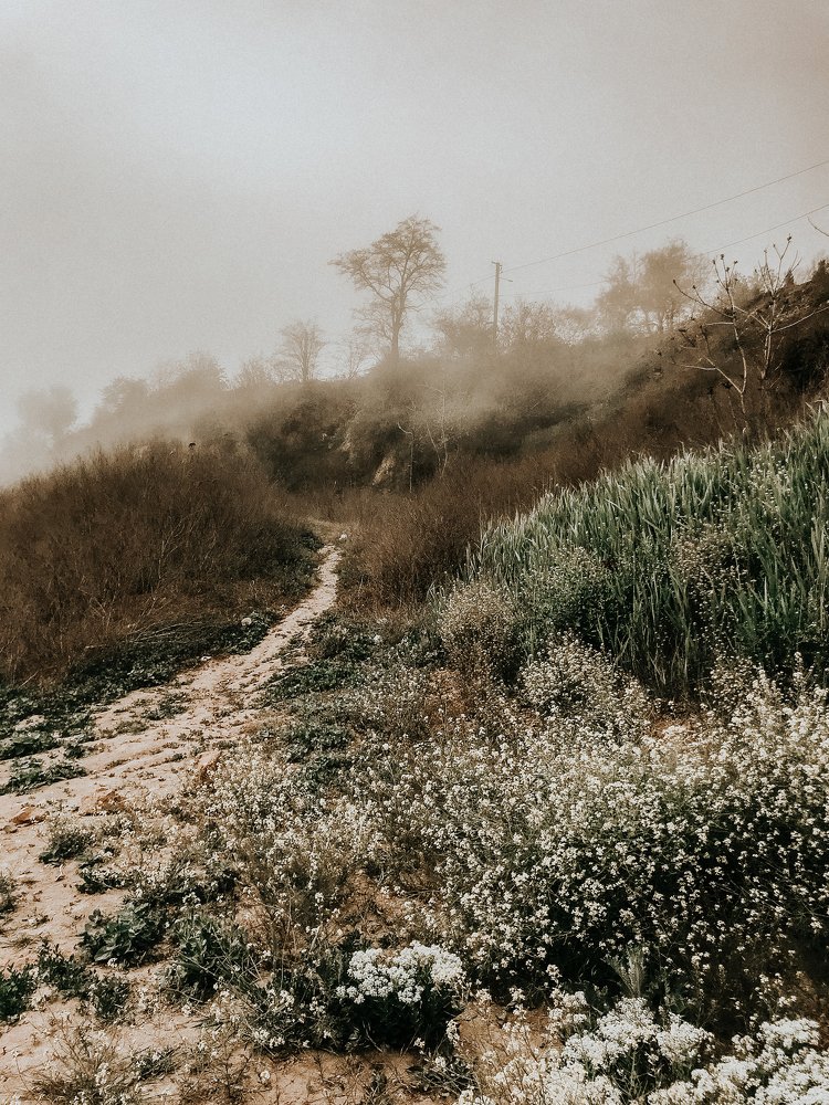 Photograph by Екатерина Стефанова