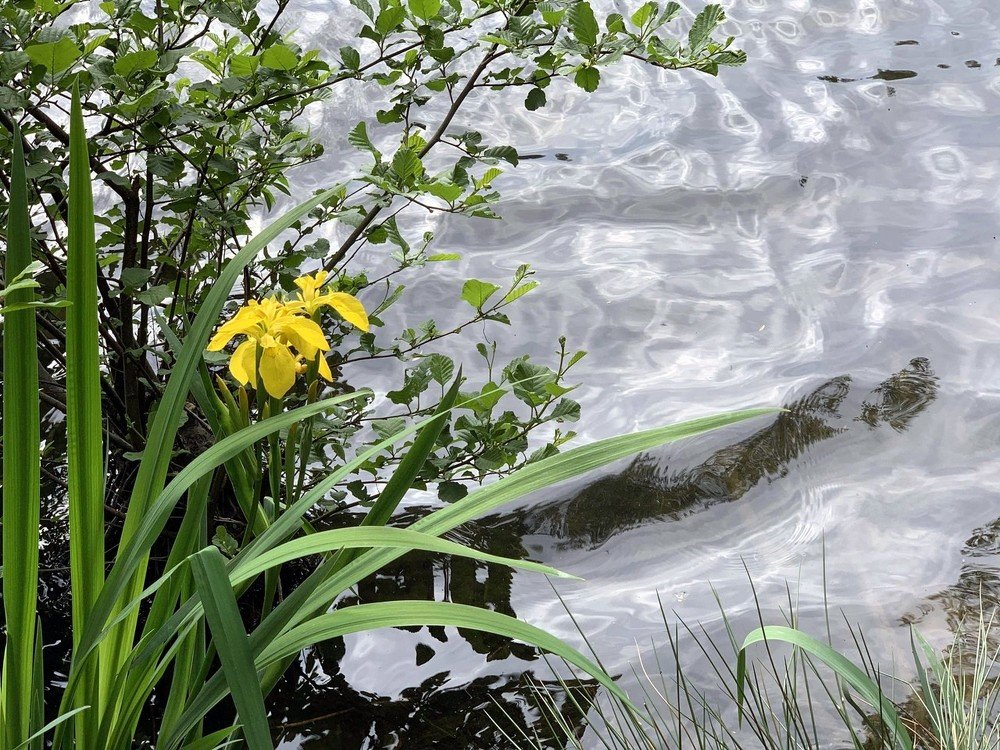 Photograph by Марина Дикманн