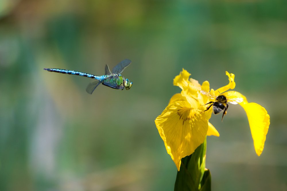 Фотография автора Christina Draper