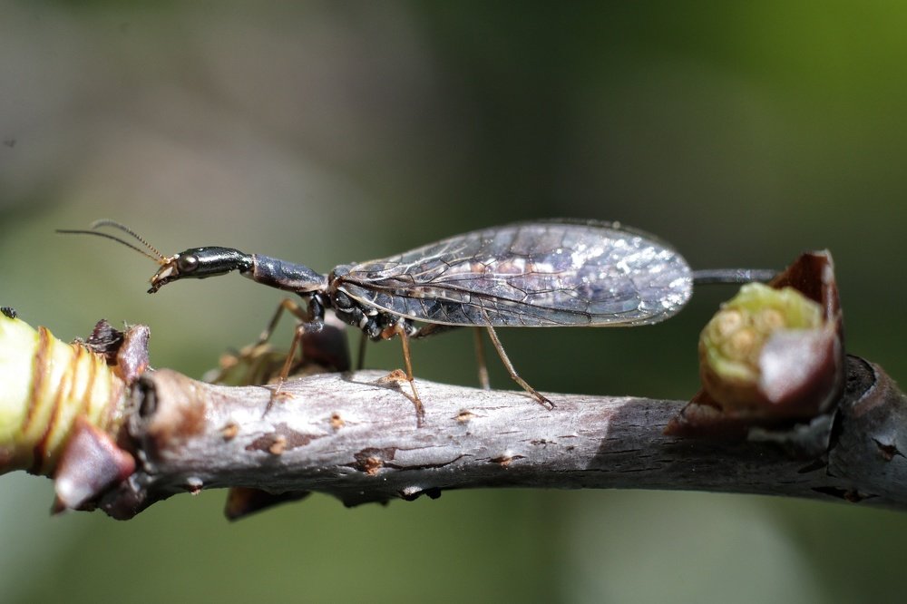 Photograph by Наталия Запорожец