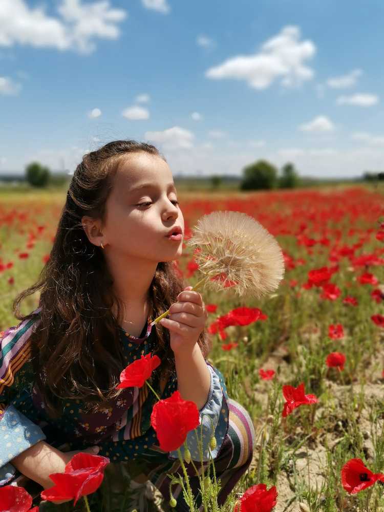 Erika's Nature