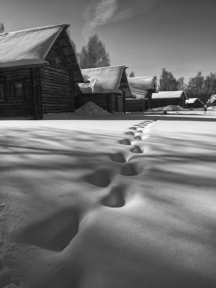 Photograph by Владимир Перепечаев
