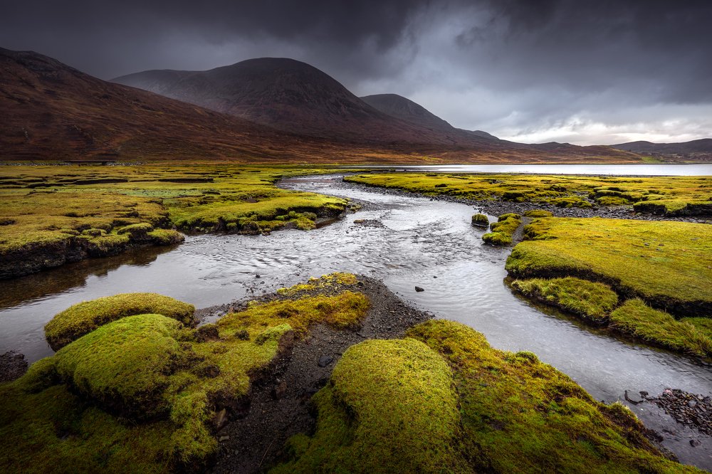 Photograph by Anthony Robin